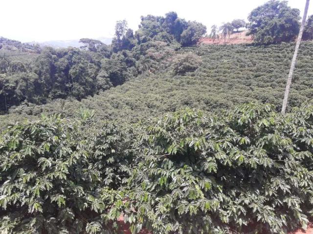 Sítio / Chácara para Venda em Caconde/SP Zona Rural