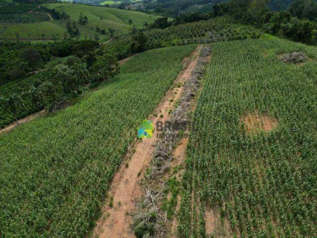 Sítio / Chácara para Venda em Caconde/SP Zona Rural