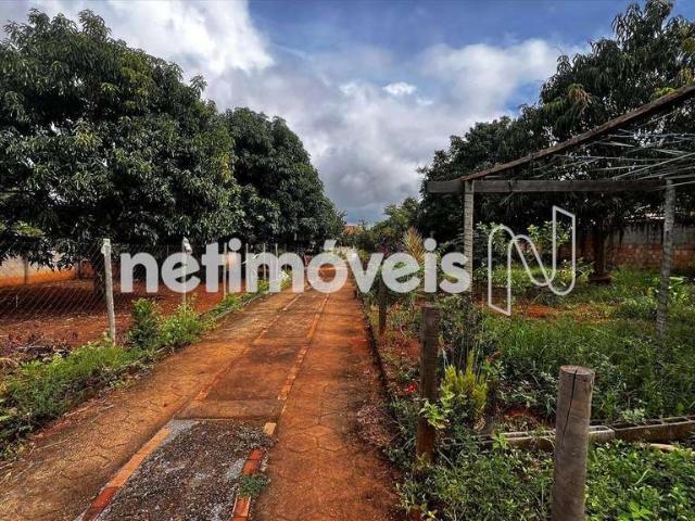 Sítio / Chácara para Venda em Caetanópolis/MG Parque do Buriti 3 Quartos