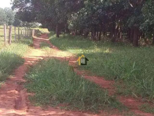 Sítio / Chácara para Venda em Caiuá/SP Zona Rural 2 Quartos