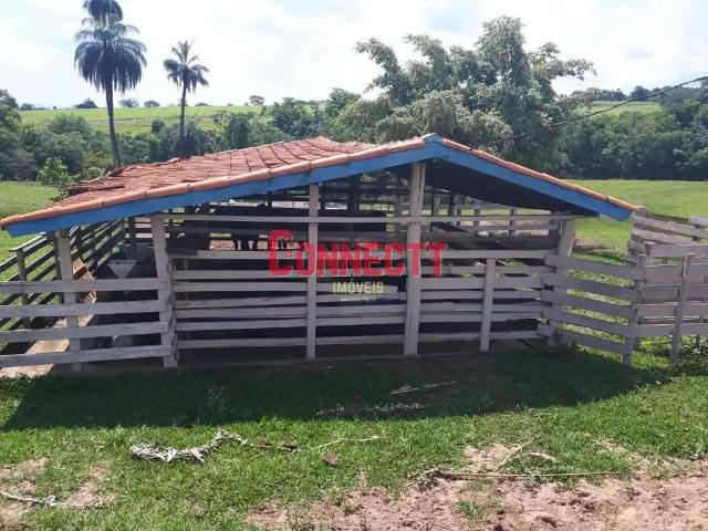 Sítio / Chácara para Venda em Cajuru/SP Centro 4 Quartos