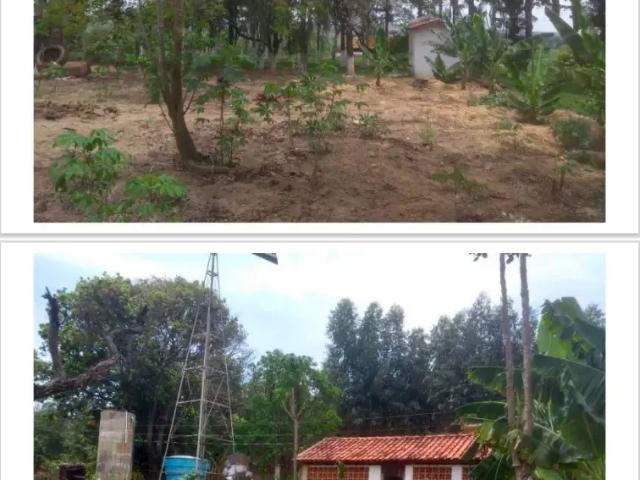 Sítio / Chácara para Venda em Cajuru/SP Zona Rural 3 Quartos