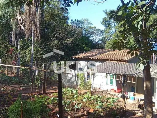 Sítio / Chácara para Venda em Caldazinha/GO Zona Rural 4 Quartos