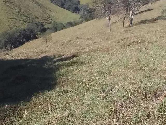 Sítio / Chácara para Venda em Caldas/MG Centro