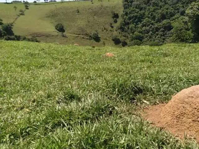 Sítio / Chácara para Venda em Caldas/MG Centro