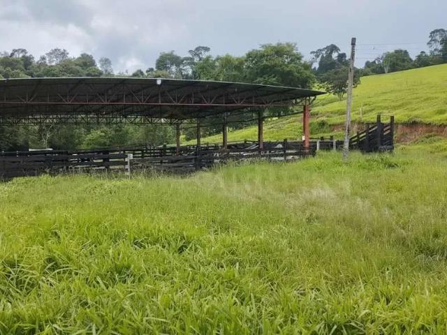 Sítio / Chácara para Venda em Caldas/MG Zona Rural