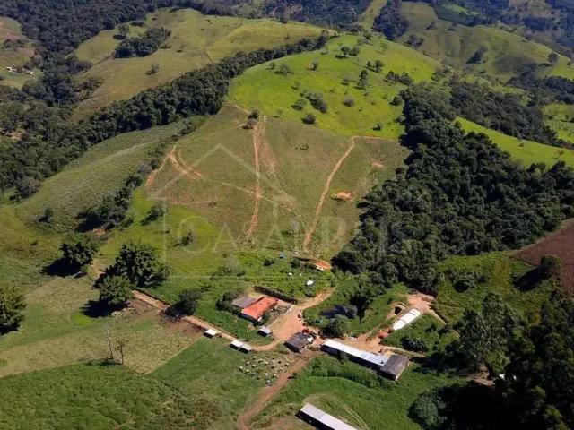 Sítio / Chácara para Venda em Caldas/MG Zona Rural 3 Quartos