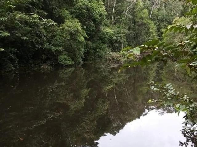 Sítio / Chácara para Venda em Camaçari/BA Abrantes 1 Quartos
