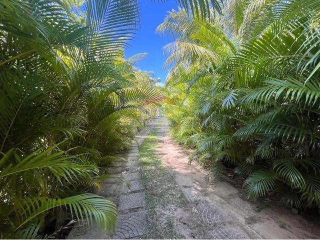 Sítio / Chácara para Venda em Camaçari/BA Barra do Jacuípe 6 Quartos