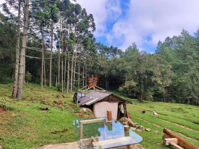 Sítio / Chácara para Venda em Camanducaia/MG Bom Jardim
