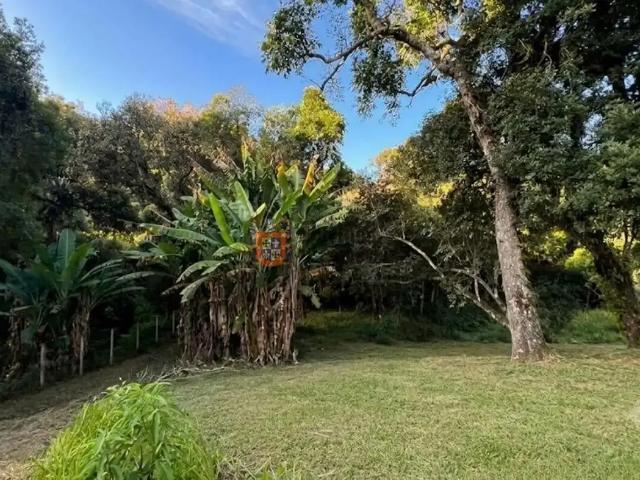 Sítio / Chácara para Venda em Camanducaia/MG Centro 3 Quartos