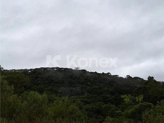 Sítio / Chácara para Venda em Camanducaia/MG Centro