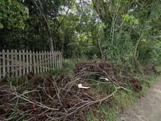 Sítio / Chácara para Venda em Camaragibe/PE Aldeia dos Camarás