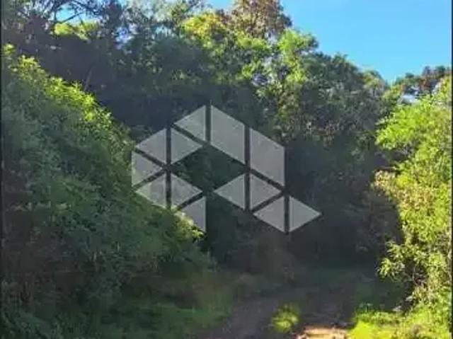 Sítio / Chácara para Venda em Cambará do Sul/RS Vila Unidos