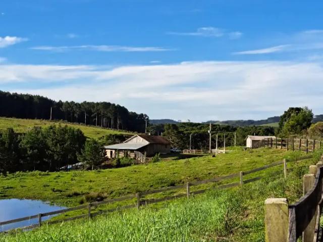 Sítio / Chácara para Venda em Cambará do Sul/RS Zona Rural 1 Quartos