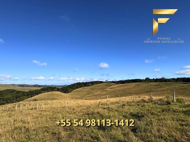 Sítio / Chácara para Venda em Cambará do Sul/RS Zona Rural