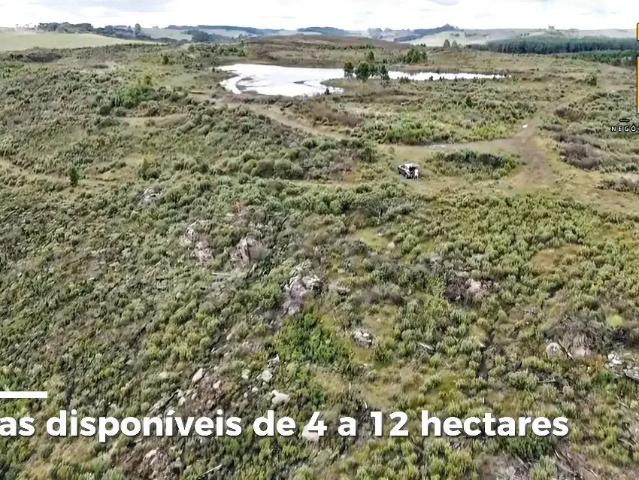 Sítio / Chácara para Venda em Cambará do Sul/RS Zona Rural