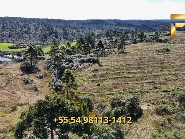 Sítio / Chácara para Venda em Cambará do Sul/RS Zona Rural