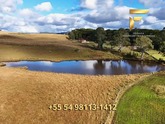 Sítio / Chácara para Venda em Cambará do Sul/RS Zona Rural