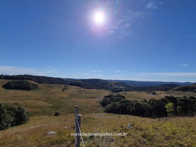 Sítio / Chácara para Venda em Cambará do Sul/RS Zona Rural