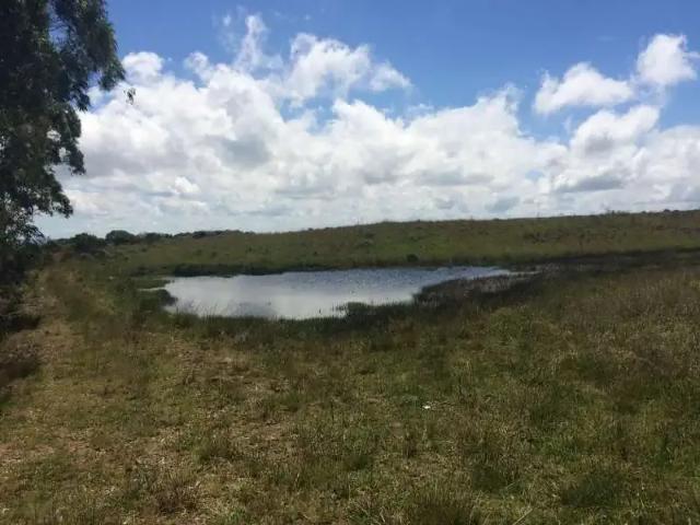 Sítio / Chácara para Venda em Cambará do Sul/RS Centro