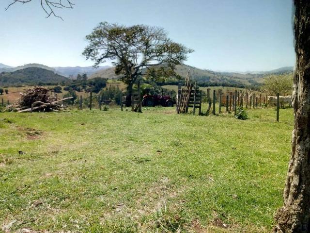Sítio / Chácara para Venda em Cambuí/MG Zona Rural 3 Quartos