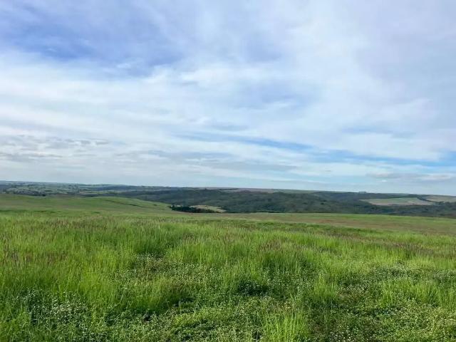 Sítio / Chácara para Venda em Campo Alegre de Goiás/GO Zona Rural
