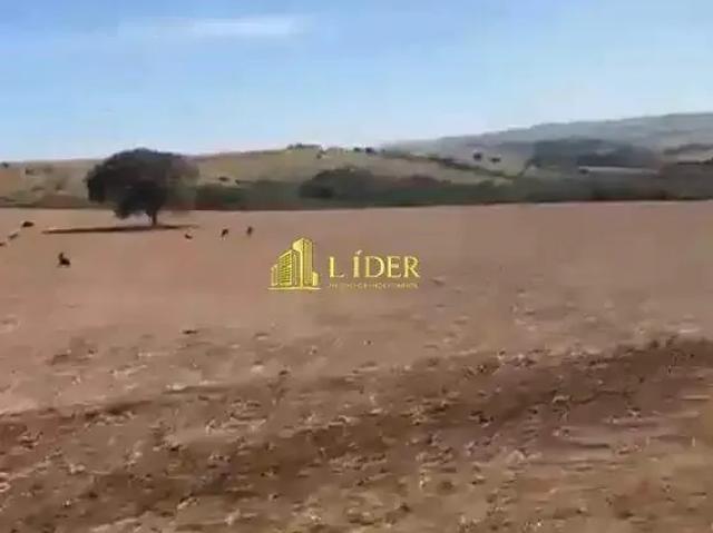 Sítio / Chácara para Venda em Campo Alegre de Goiás/GO Zona Rural