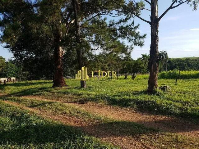 Sítio / Chácara para Venda em Campo Alegre de Goiás/GO Zona Rural