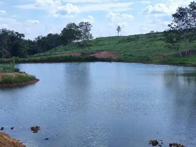 Sítio / Chácara para Venda em Campo Alegre de Goiás/GO Zona Rural 1 Quartos