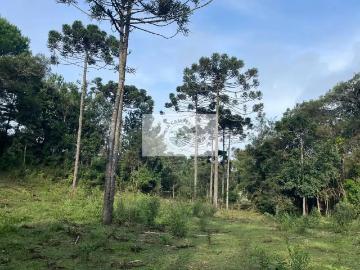 Sítio / Chácara para Venda em Campo Alegre/SC Campinas 1 Quartos