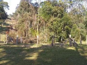 Sítio / Chácara para Venda em Campo Alegre/SC Centro 1 Quartos