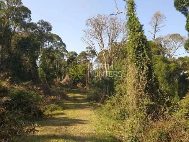 Sítio / Chácara para Venda em Campo Alegre/SC Centro 1 Quartos