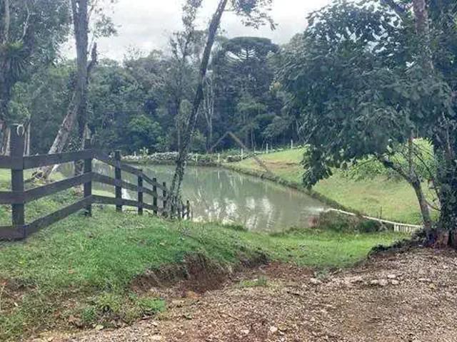 Sítio / Chácara para Venda em Campo Alegre/SC Centro 2 Quartos