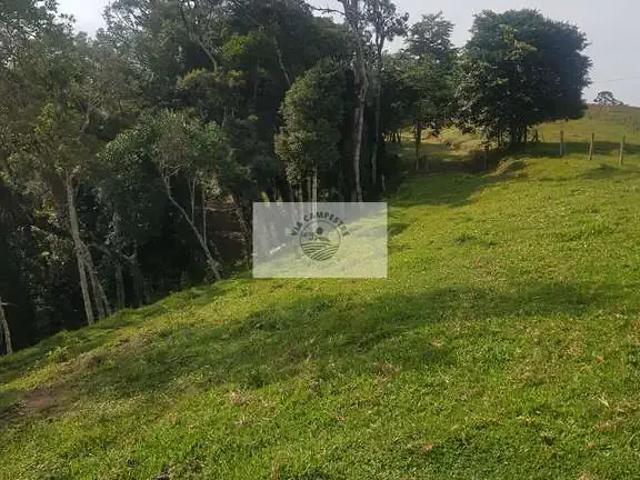 Sítio / Chácara para Venda em Campo Alegre/SC Centro 3 Quartos