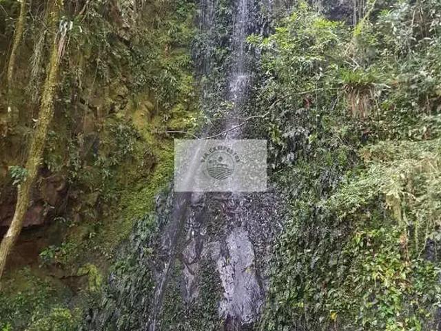 Sítio / Chácara para Venda em Campo Alegre/SC Centro 3 Quartos
