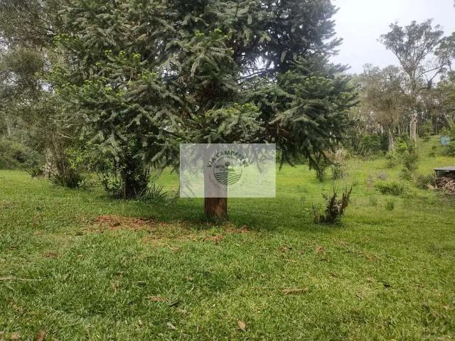 Sítio / Chácara para Venda em Campo Alegre/SC Centro 4 Quartos
