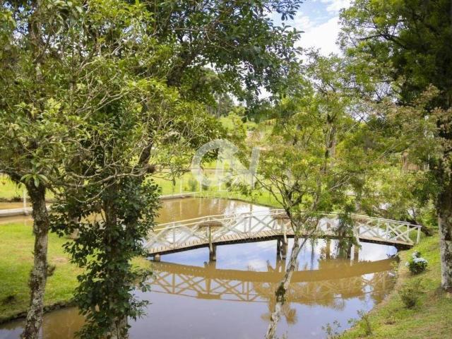 Sítio / Chácara para Venda em Campo Alegre/SC Avenquinha 5 Quartos