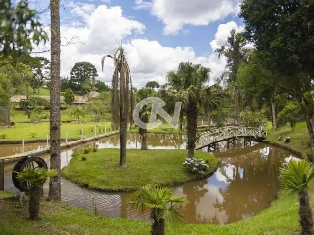 Sítio / Chácara para Venda em Campo Alegre/SC Avenquinha 5 Quartos