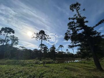Sítio / Chácara para Venda em Campo Alegre/SC Avenquinha