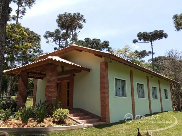 Sítio / Chácara para Venda em Campo Alegre/SC Avenquinha