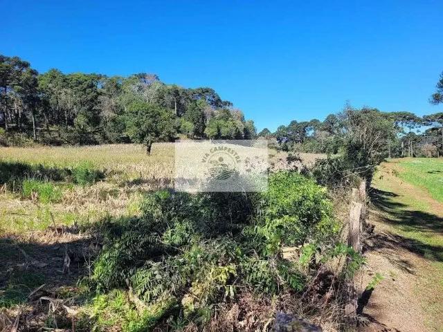 Sítio / Chácara para Venda em Campo Alegre/SC Avenquinha 1 Quartos