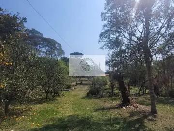 Sítio / Chácara para Venda em Campo Alegre/SC Avenquinha 1 Quartos