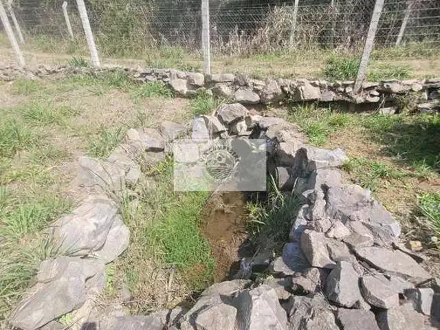 Sítio / Chácara para Venda em Campo Alegre/SC Avenquinha 1 Quartos