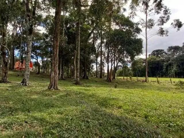 Sítio / Chácara para Venda em Campo Alegre/SC Avenquinha 2 Quartos