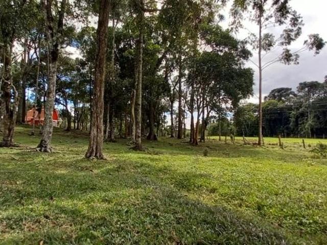 Sítio / Chácara para Venda em Campo Alegre/SC Avenquinha 2 Quartos