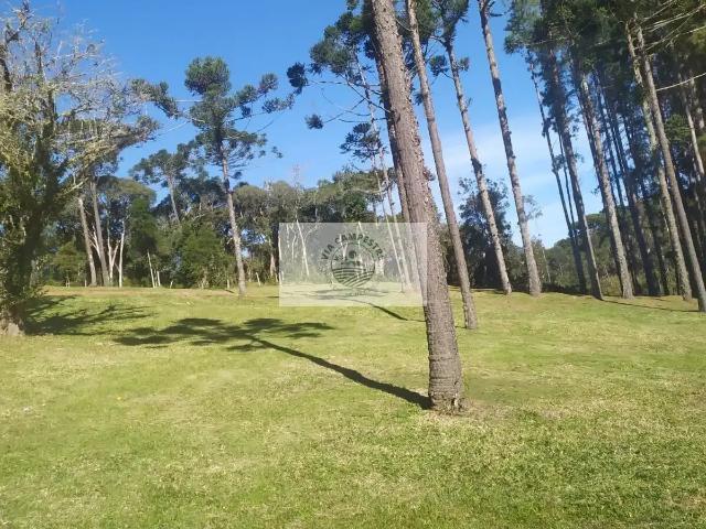 Sítio / Chácara para Venda em Campo Alegre/SC Bateias de Baixo 1 Quartos