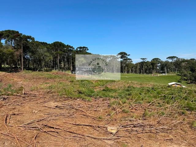 Sítio / Chácara para Venda em Campo Alegre/SC Bateias de Baixo 1 Quartos