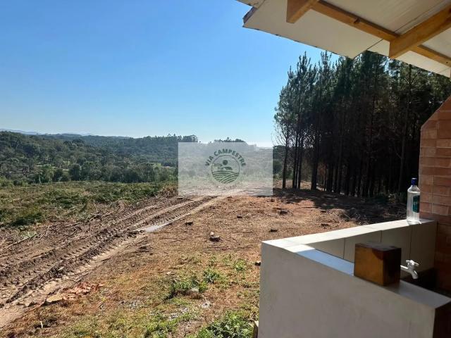 Sítio / Chácara para Venda em Campo Alegre/SC Bateias de Baixo 1 Quartos