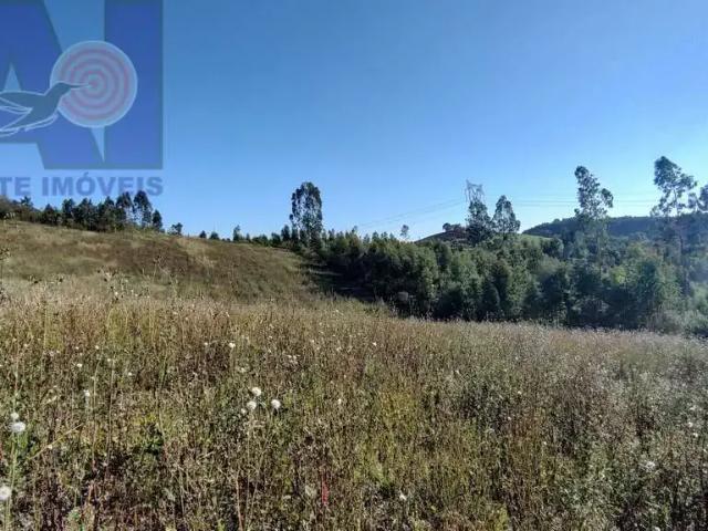 Sítio / Chácara para Venda em Campo Alegre/SC Bateias de Baixo 1 Quartos